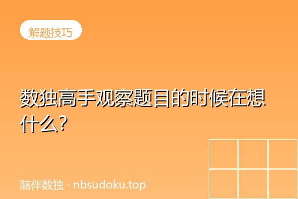 数独高手观察题目的时候在想什么？
